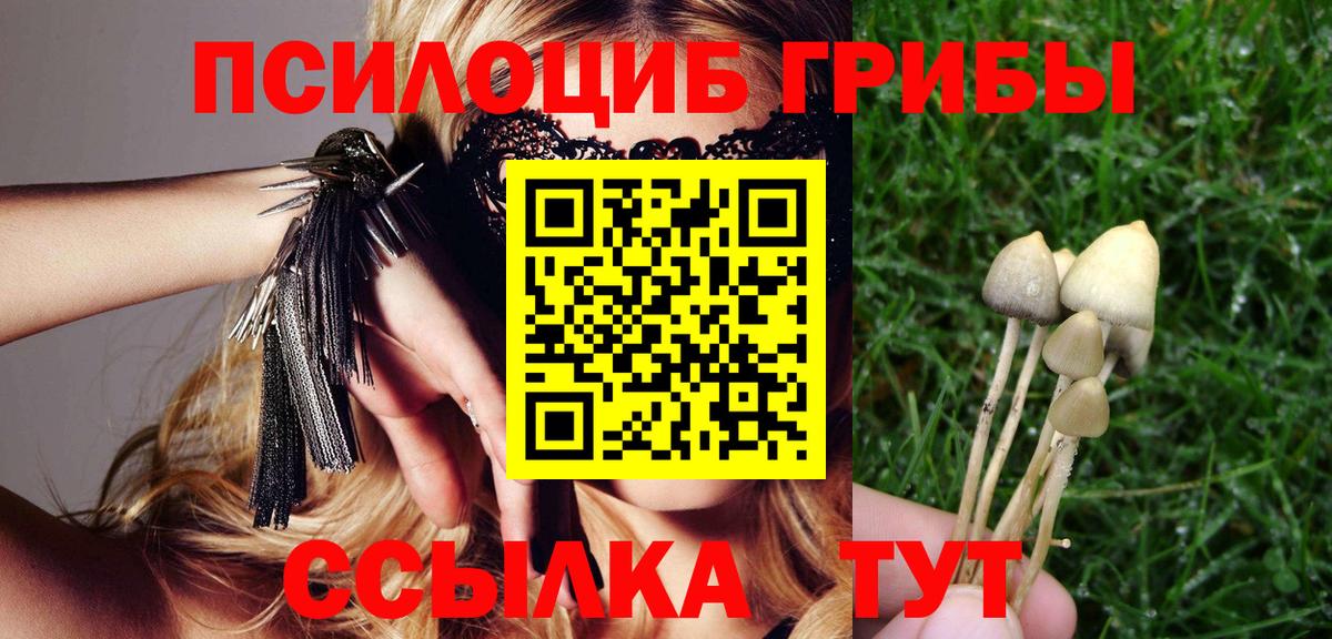 Галлюциногенные грибы Magic Shrooms  Вход с VPN  Красногорск  Галлюциногенные грибы мухоморы 