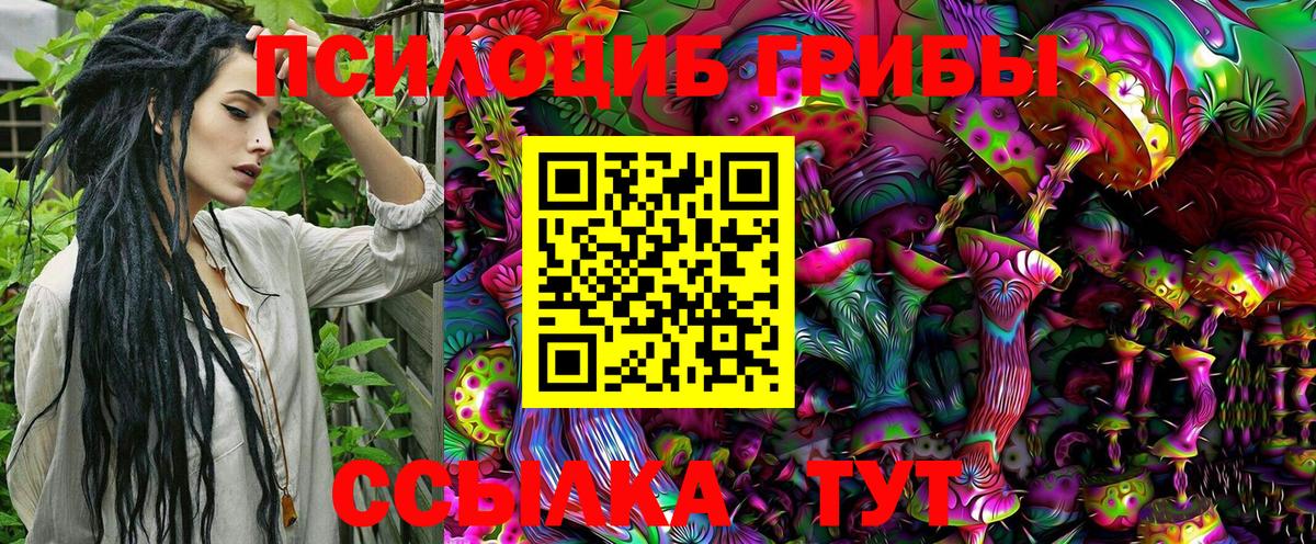 Псилоцибиновые грибы Psilocybe Красногорск